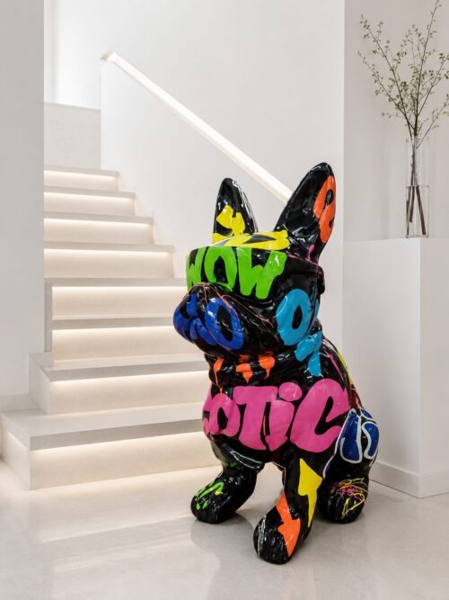 Kutya Francia bulldog